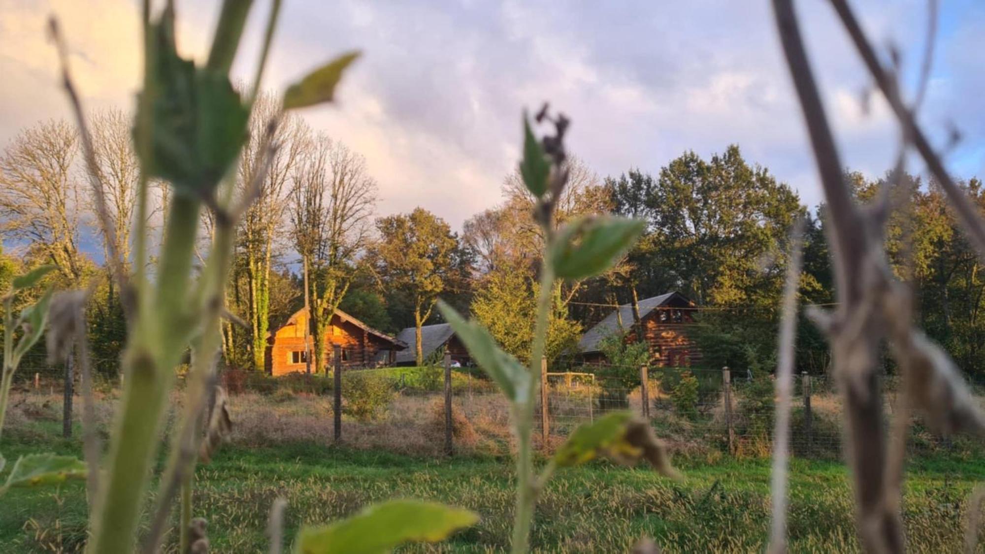 En Rondins De Vassiviere - Les Fustes De Plazanet Chalet *